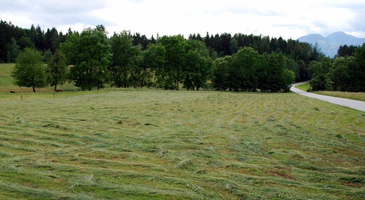 Farm Stay Rotovnik - Plesnik Slovenj Gradec Kültér fotó