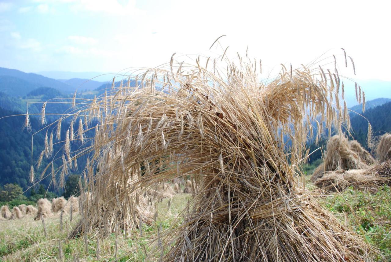 Farm Stay Rotovnik - Plesnik Slovenj Gradec Kültér fotó