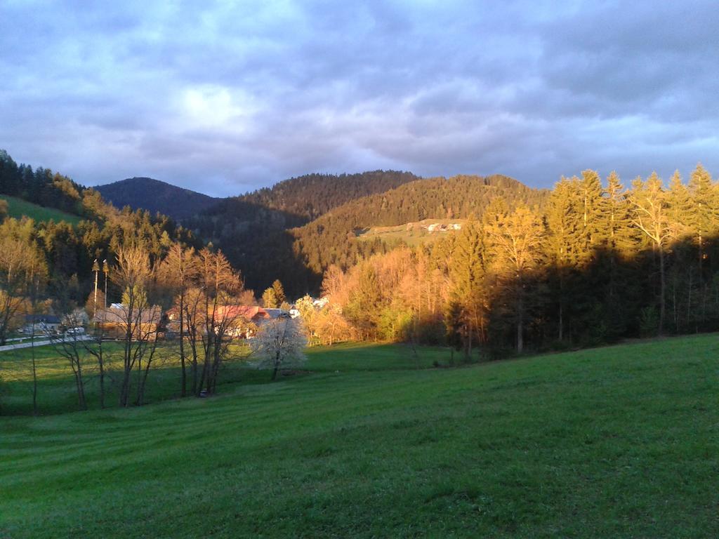 Farm Stay Rotovnik - Plesnik Slovenj Gradec Kültér fotó
