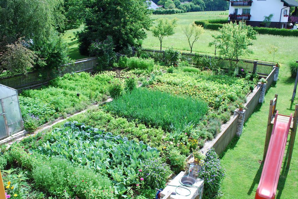 Farm Stay Rotovnik - Plesnik Slovenj Gradec Kültér fotó
