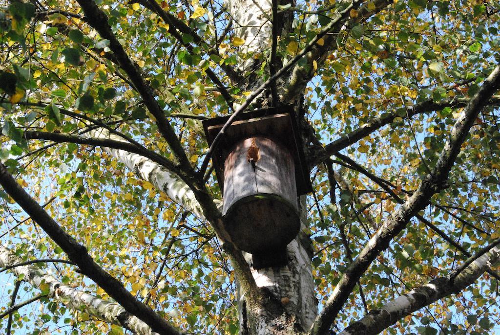 Farm Stay Rotovnik - Plesnik Slovenj Gradec Kültér fotó