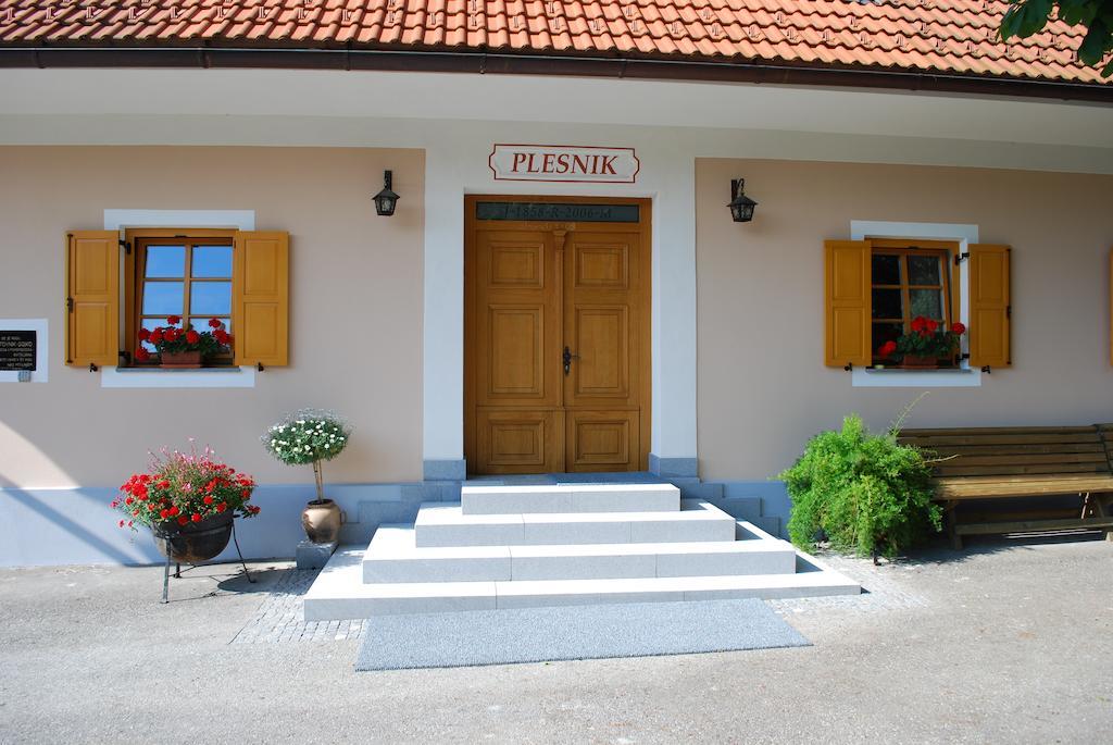 Farm Stay Rotovnik - Plesnik Slovenj Gradec Kültér fotó